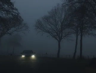 Car headlights in thick fog between bare trees at night, still from a music video