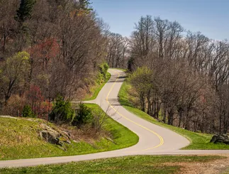 Road winding through a park with trees in early spring