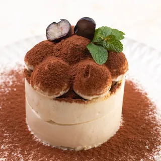 A round tiramisu dusted with cocoa